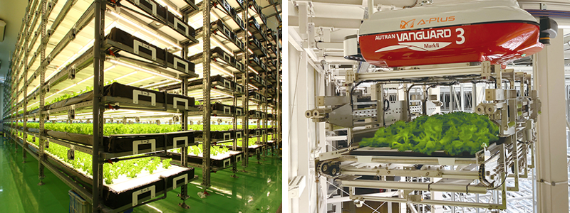 当社が手がけた植物工場の自動化システム