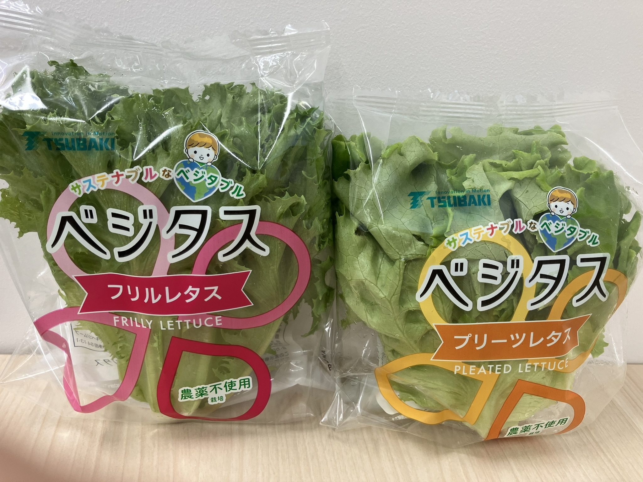 ベジタス写真