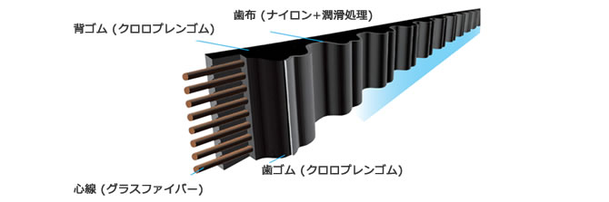 タイミングベルト構造