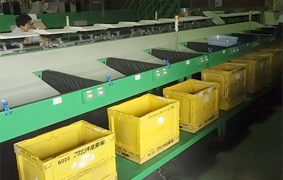 シュート（仕分間口）部：表面はデニム生地、内側はクッションになっており、商品をやさしく受け止めます