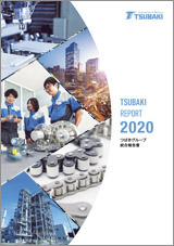 2000年综合报告书