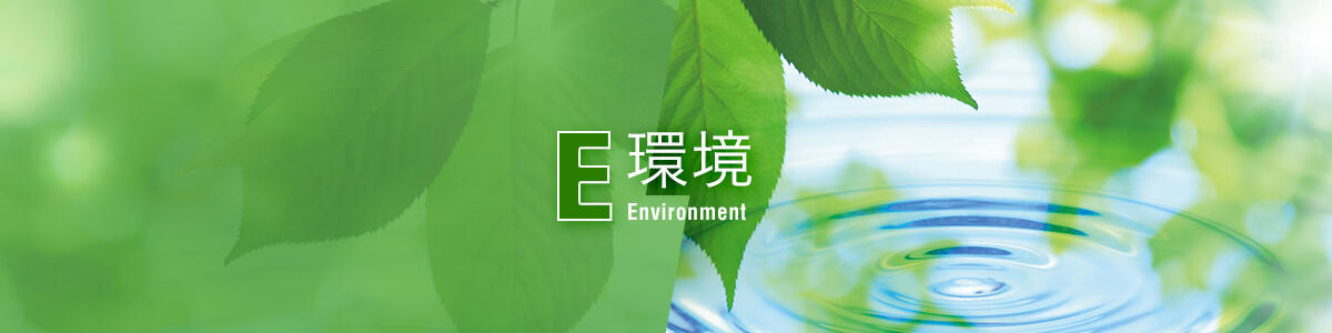【E】環境