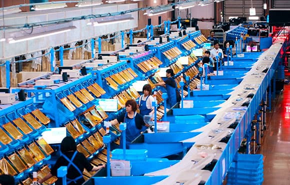 アパレルEC物流センターの1バッジ当たりの仕分け量を20倍に向上