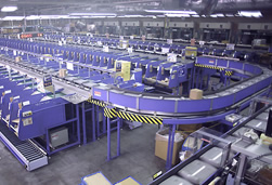 ループ型の自動仕分け機で作業の自動化・効率化を実現