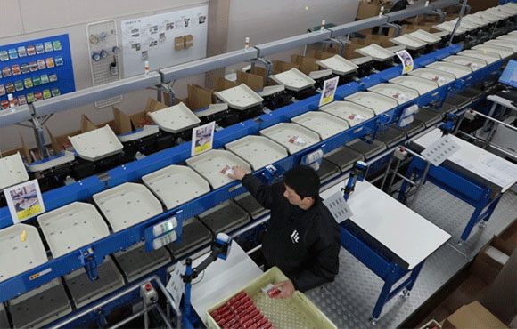 省スペースソータを導入し自動仕分けと省力化を実現