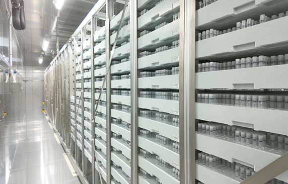 低温保管と出荷工程の自動化ソリューション