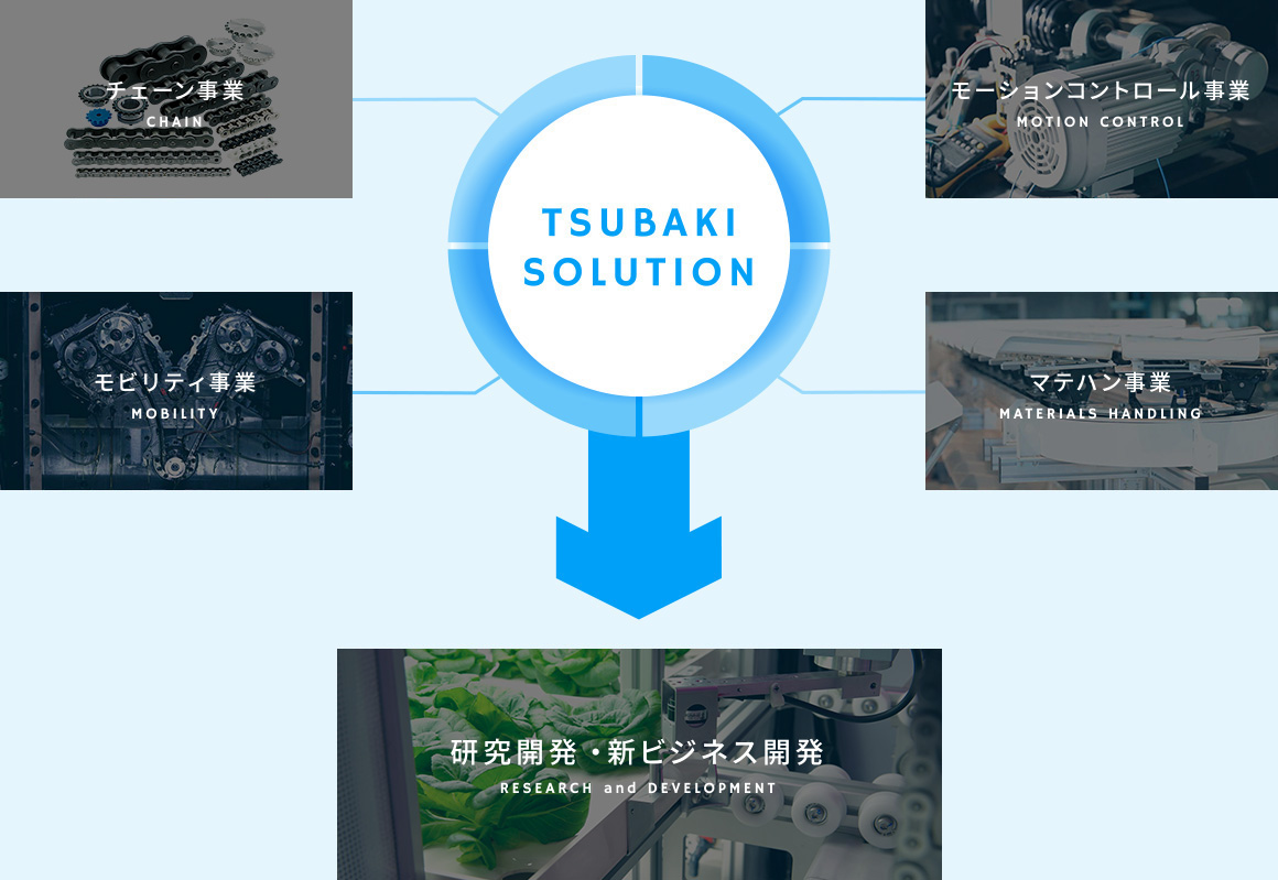 TSUBAIKI SOLUTION