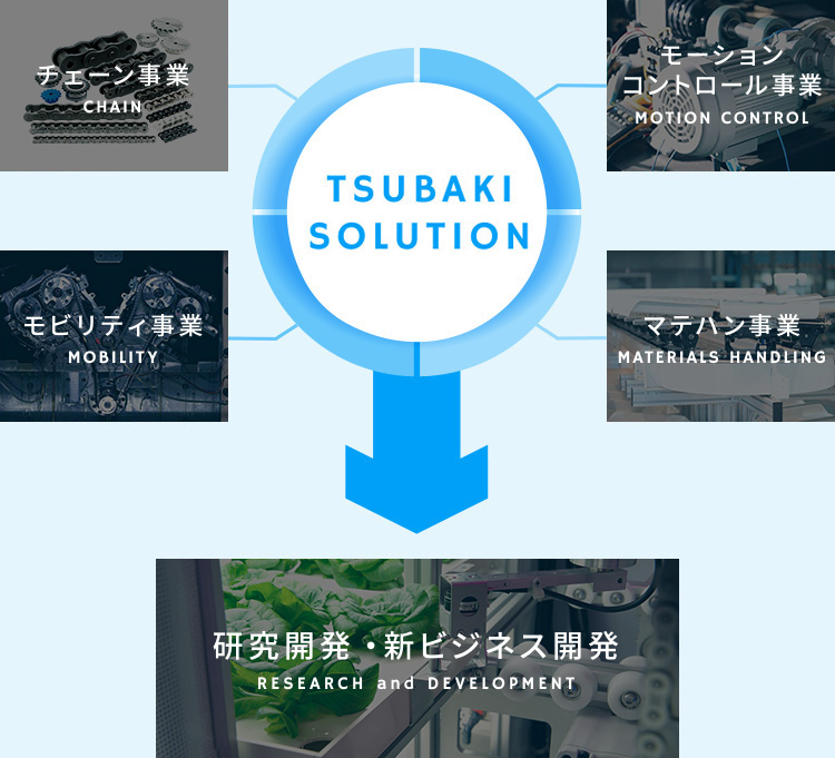 TSUBAIKI SOLUTION